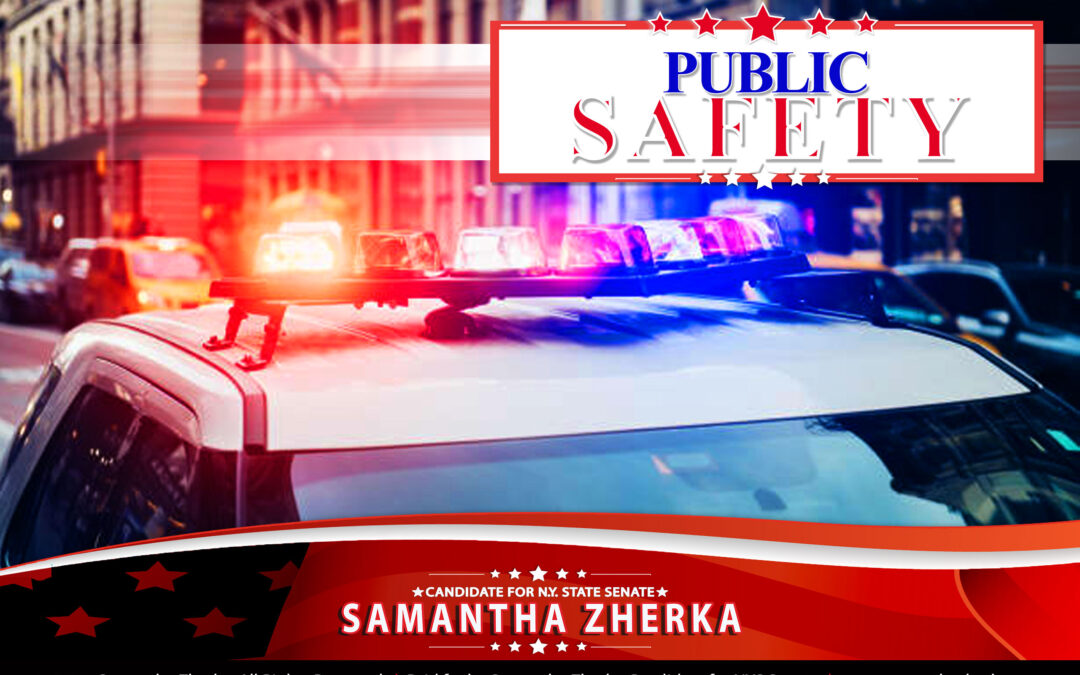Public Safety